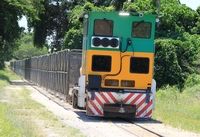 Lok mit Wagons für Zuckerrohrtransport