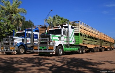 Road Train